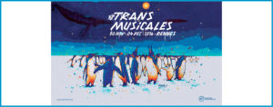 37-trans-musicales